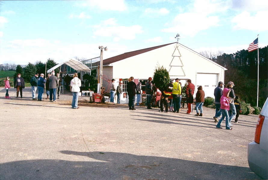 McClellan's Tree Farm, LLC