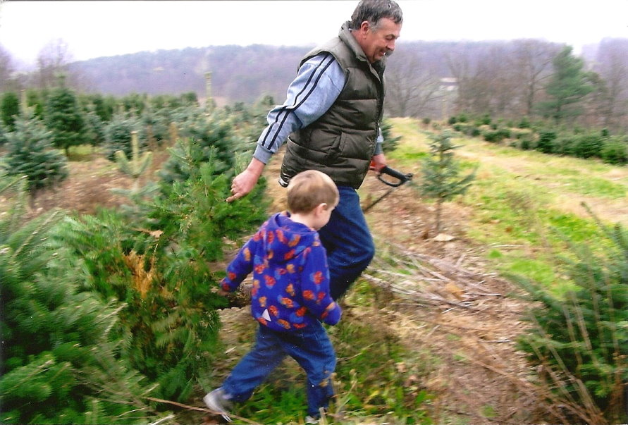 McClellan's Tree Farm, LLC