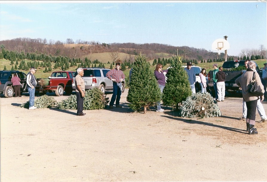 McClellan's Tree Farm, LLC